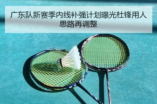 广东队新赛季内线补强计划曝光杜锋用人思路再调整